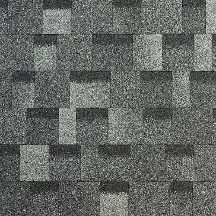 xpress eastern grey